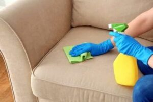 Resah-Karena-Kutu-Sofa-Berikut-Cara-Mudah-Basmi-Kutu-Sofa-Yang-Mengganggu